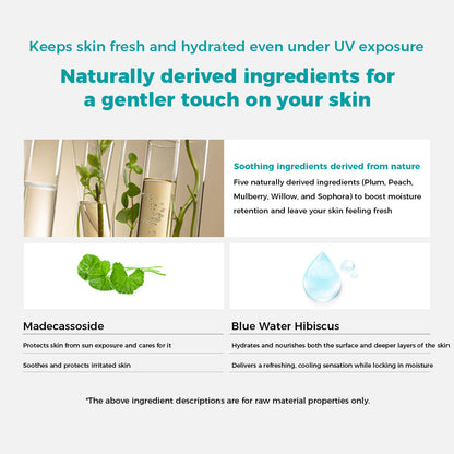 GOONGBE Fresh Sun Stick SPF50+ PA++++ 19g