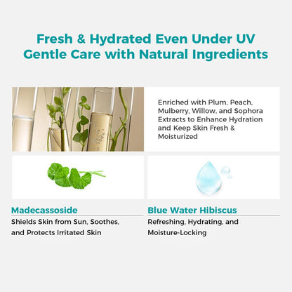 GOONGBE Waterful Sun Lotion SPF50+ 80g