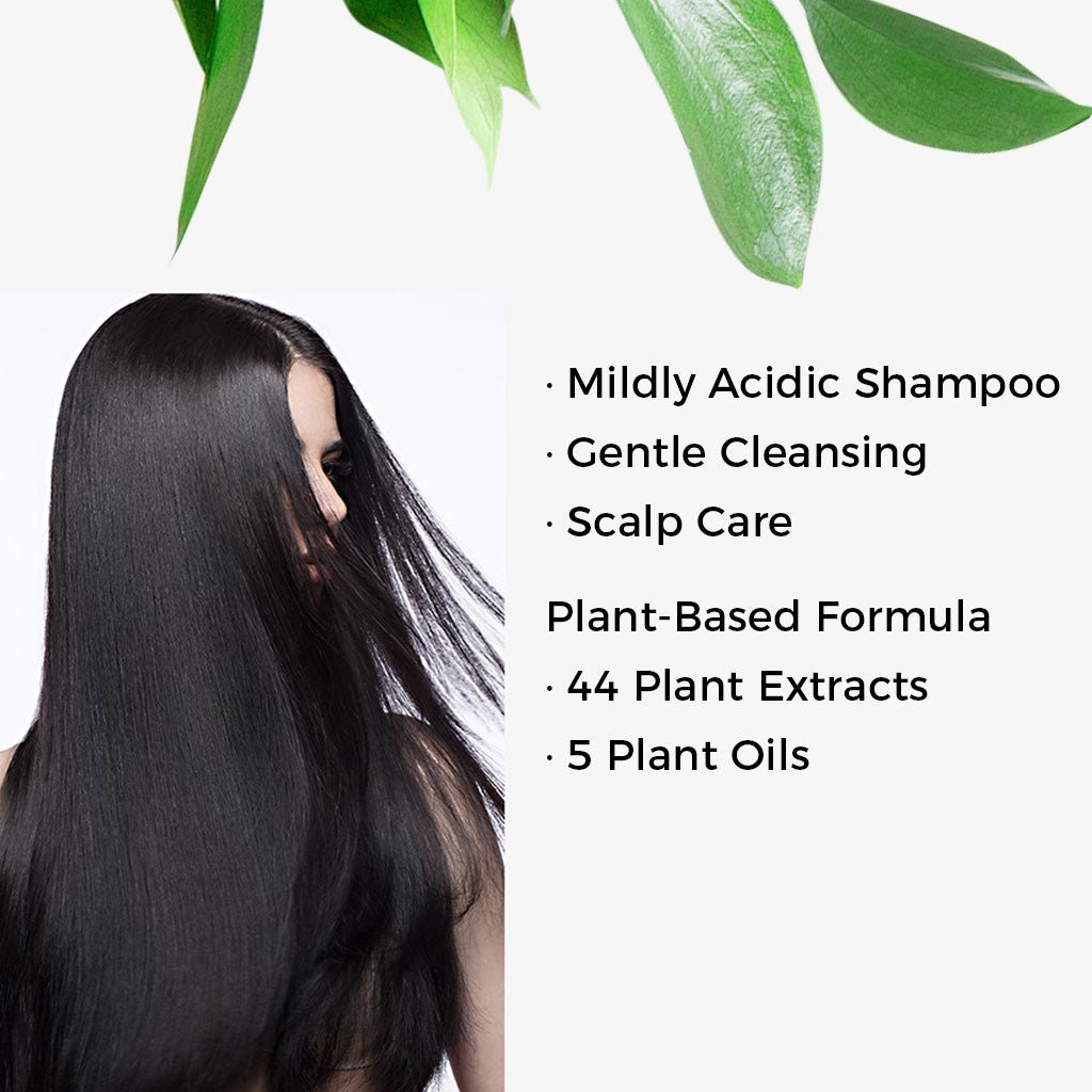 KUNDAL Honey & Macadamia Pure Natural Shampoo 500ml